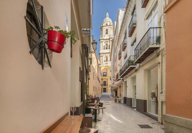 Lejlighed i Málaga - Larios - Feriebolig Malaga Centrum Lejlighed i Málaga - Larios - Feriebolig Malaga Centrum