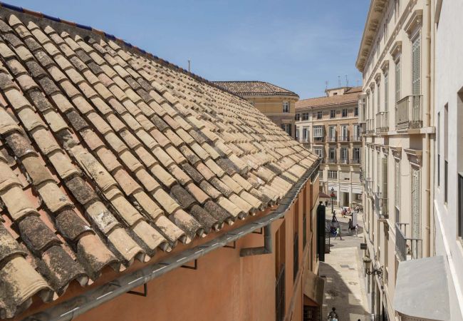 Lejlighed i Málaga - Teresa - Ferielejlighed i Malaga centrum Lejlighed i Málaga - Teresa - Ferielejlighed i Malaga centrum